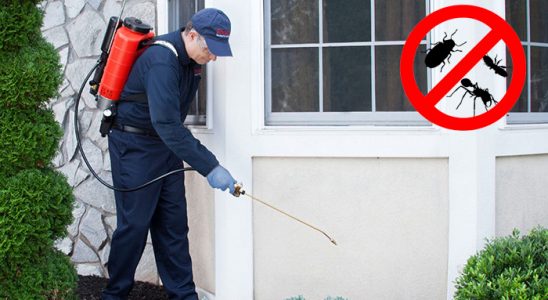 Mithatpaşa Tahtakurusu İlaçlama böcek ilaçlama ve haşere kontrolü — ilaclama-tr.com